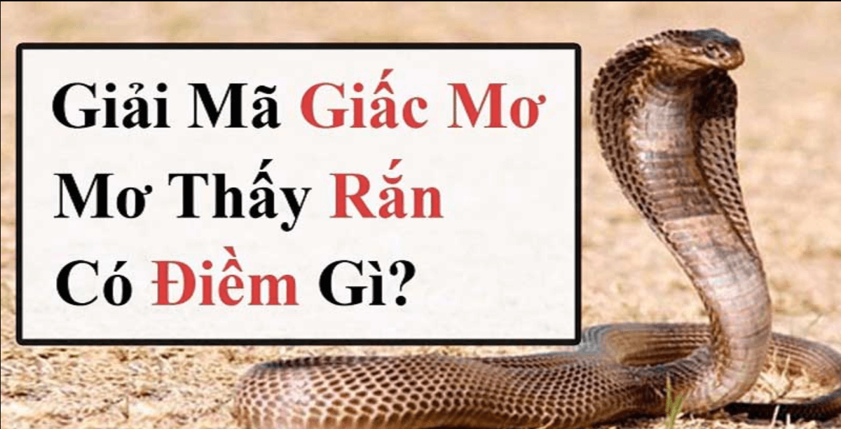 Mơ thấy rắn thì đánh con số nào cho đúng?